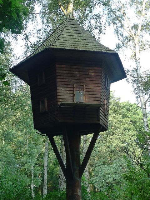 (Bild: Fachbereich Grünflächen)
