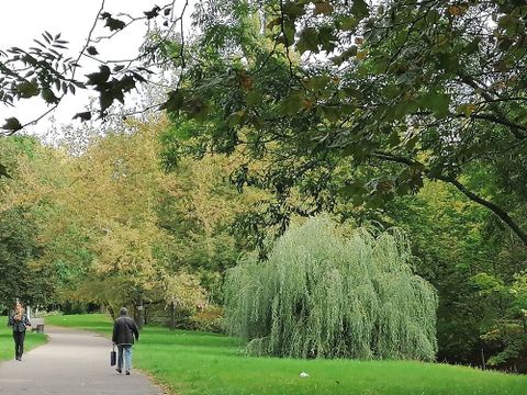 Pankepromenade im Pankepark vor der Neugestaltung