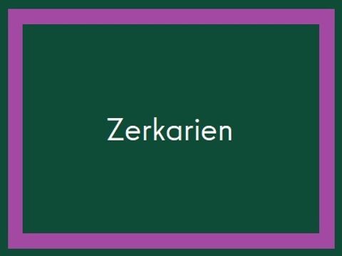 Zerkarien2