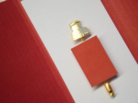 Spandauer Ehrennadel_Nadel