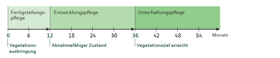 Zeitlicher Ablauf von der Fertigstellungs- bis zur Unterhaltungspflege