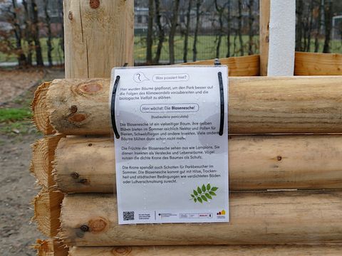 Rundgang zur Biodiversität im Fritz-Schloß-Park