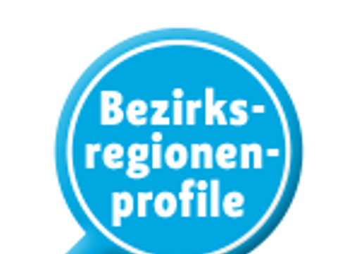 Icon Bezirksregionenprofile