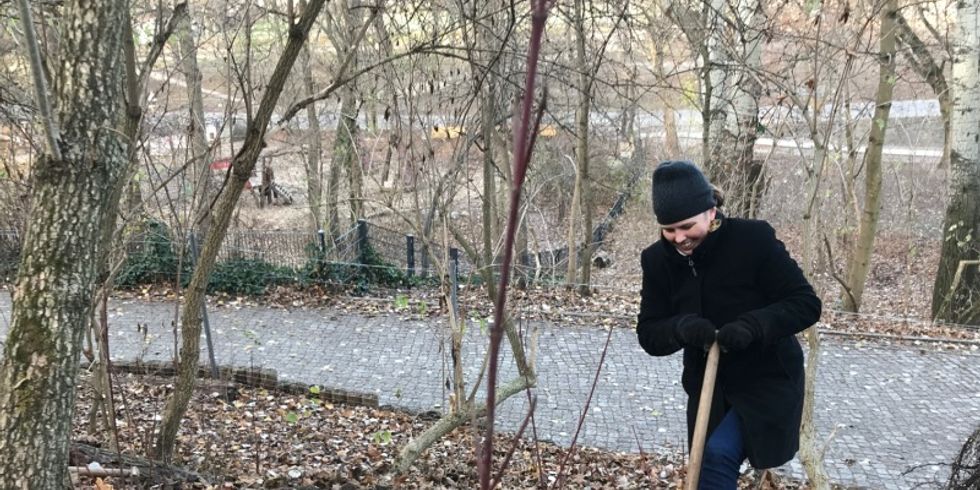 Pflanzungen im Volkspark Friedrichshain