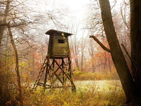 Jagdkanzel im Wald bei Sonnenaufgang
