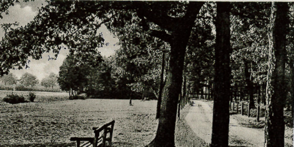 Waldweg Wuhlheide historisch