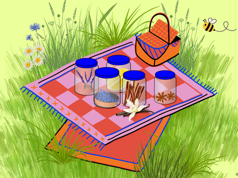 Picknickdecke mit Gläsern, in denen sich Gewürze, Blüten und andere aromatische Dinge befinden