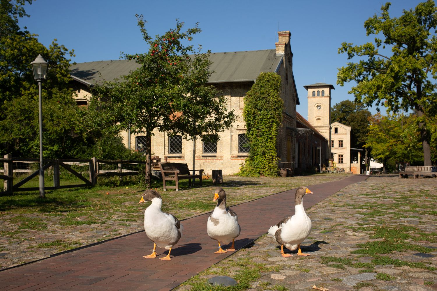Familien: Tierpflege s& G Britz