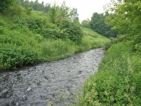 Gewässer