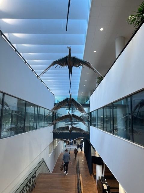 Stopera von innen (Bild: Cassandra Wegner)