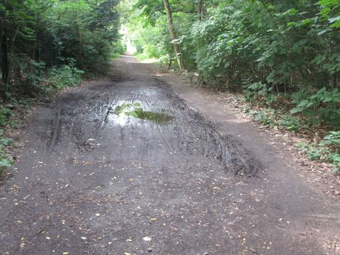 (Bild: Straßen- und Grünflächenamt Steglitz-Zehlendorf)