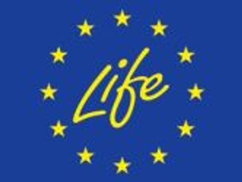 Logo Life