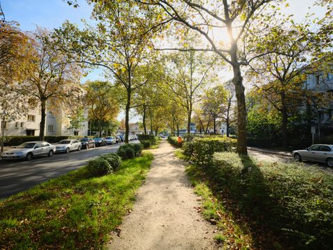 Der Grünstreifen in der Mitte des Haelhorster Damms im Herbst