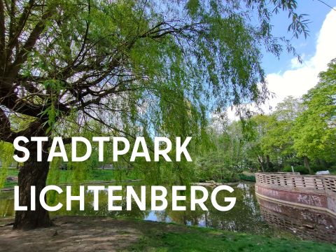 kleiner See mit Plattform und Balustrade rechts, grüner Laubbaum links im Vordergrund