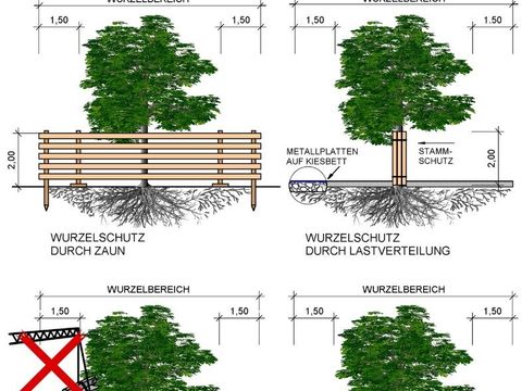 Baumschutz auf Baustellen