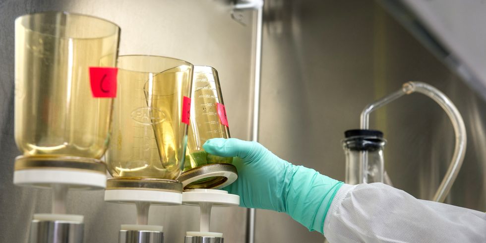 Eine Hand in grünem Gummihandschuh greift nach einem Glasgefäß für Chemie