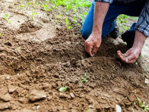 Gartenarbeit