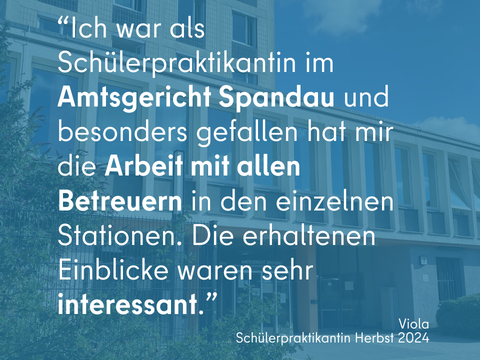 Viola Erfahrungsbericht