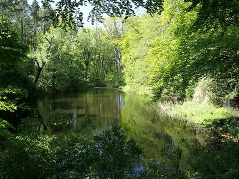 Sperlinsee