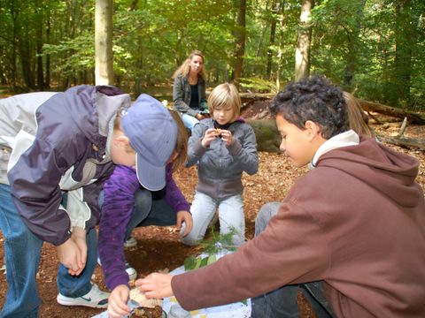  (Bild: Berliner Forsten)