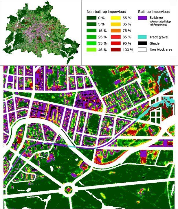 Fig. 5: Result of rule-based classification