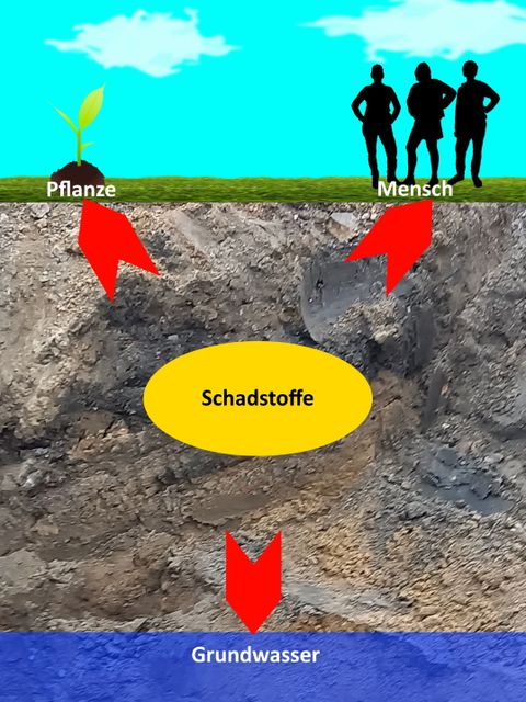 Darstellung der Wirkungspfade bei Bodenbelastungen nach Bundes-Bodenschutzgesetz