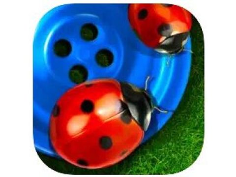App: Bugs and Buttons