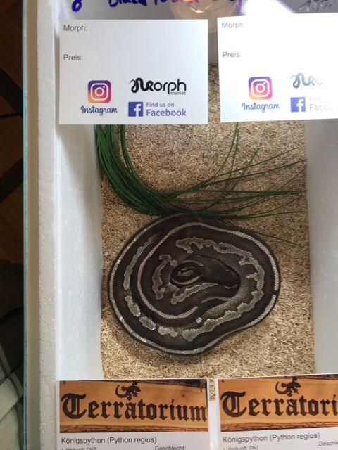 Von der Veterinäraufsicht geprüft. (Bild: BA Reinickendorf)