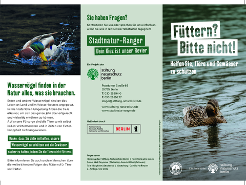 Flyer Keine Enten füttern