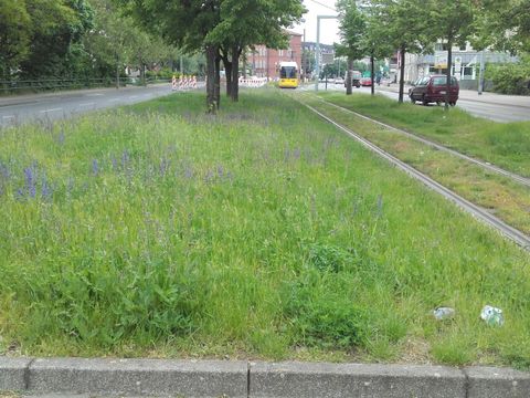 (Bild: BA Treptow-Köpenick)