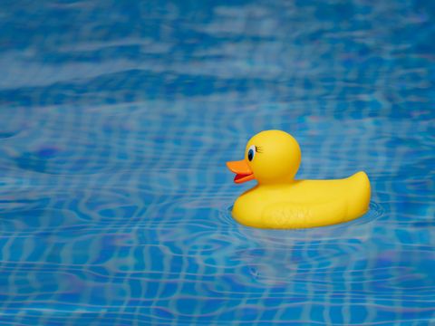 Gelbe Gummiente im Pool
