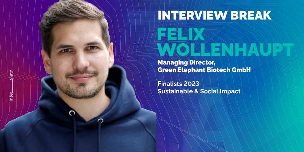 Interview mit Green Elephant