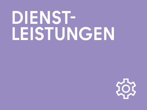 Grafik Dienstleistungen 480x360