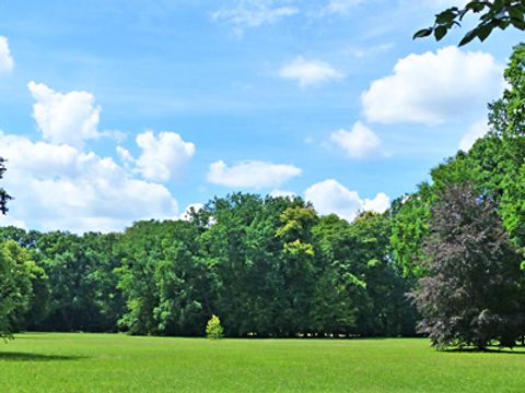 Tiergarten, Sonnenwetter, Ozon