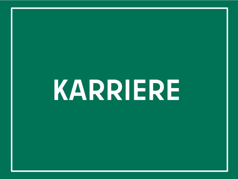 Karriere