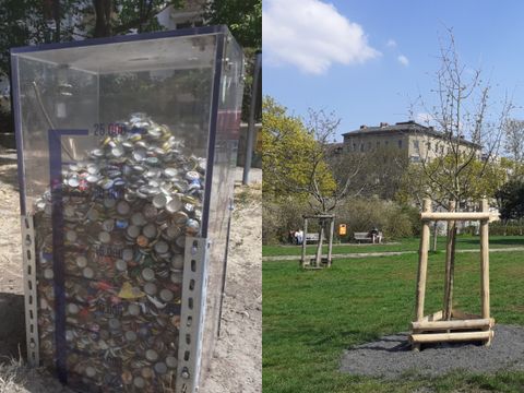 Ein durchsichtiger Plexiglasbehälter zum Sammeln von Kronkorken, der zu drei Vierteln gefüllt ist und ein Bild von einem neu gepflanzten Klimabaum auf der Obstbaumwiese im Görlitzer Park.