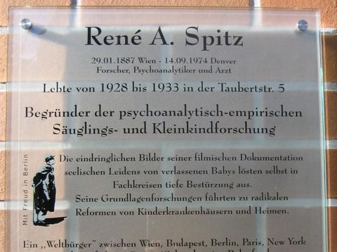 Gedenktafel für René A. Spitz, 11.11.2006, Foto: Regine Lokot