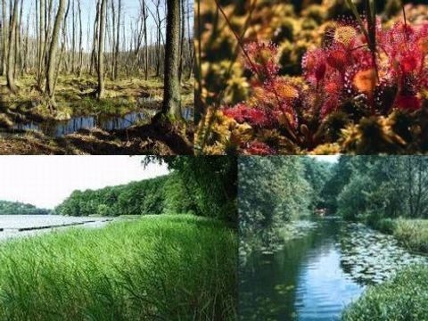 Bild der Landschaftsplanung