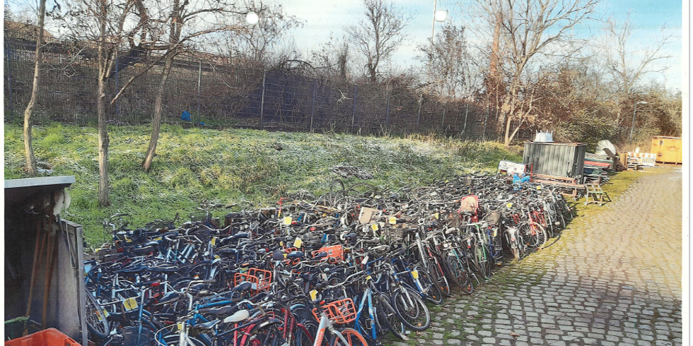 Insgesamt wurden 216 Schrottfahrräder, drei Fahrradständer und zwei Fahrradanhänger eingesammelt.