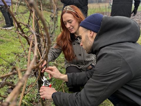 eine Frau mit Krone und ein Mann mit Mütze mit einer Gartenschere an Weinreben