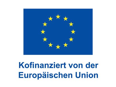 Logo_kofinanziert EU_vertikal