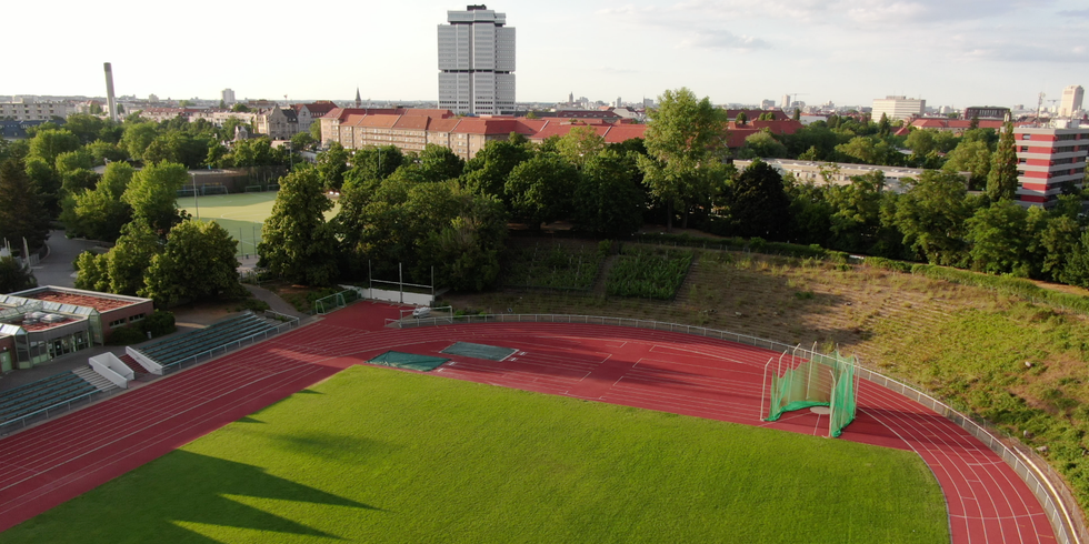 Blick von oben auf die Nordkurve des Stadion Wilmersdorf mit Schafen auf den ehemaligen Tribünen