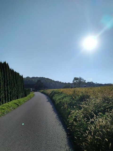 Landschaft nahe Linz