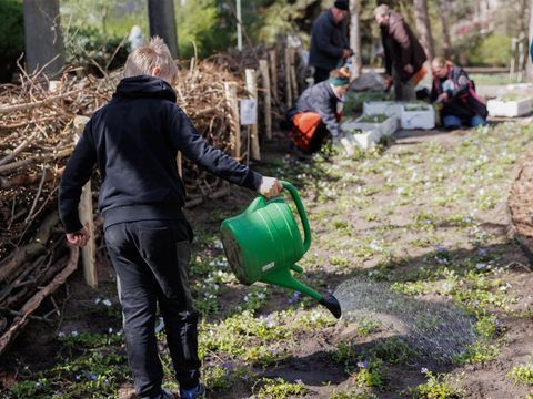 Angießen der Blumen und der Aussaat