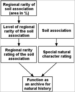 Fig. 1: Diagram to evaluate the archival function for natural history