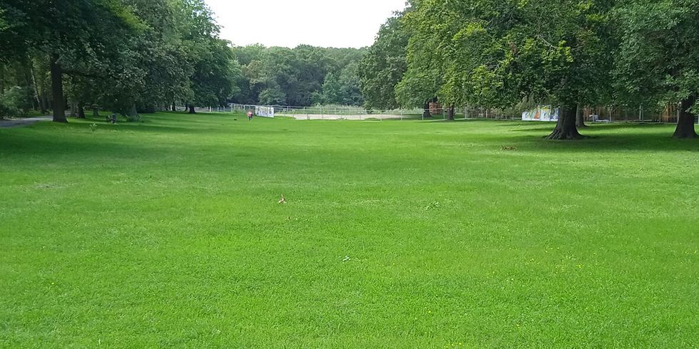 Volkspark Jungfernheide, zentrale Wiese
