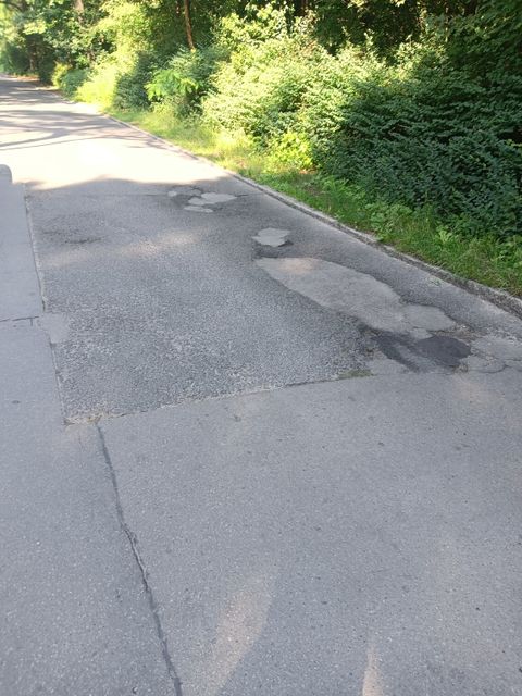 (Bild: Straßen- und Grünflächenamt Steglitz-Zehlendorf)