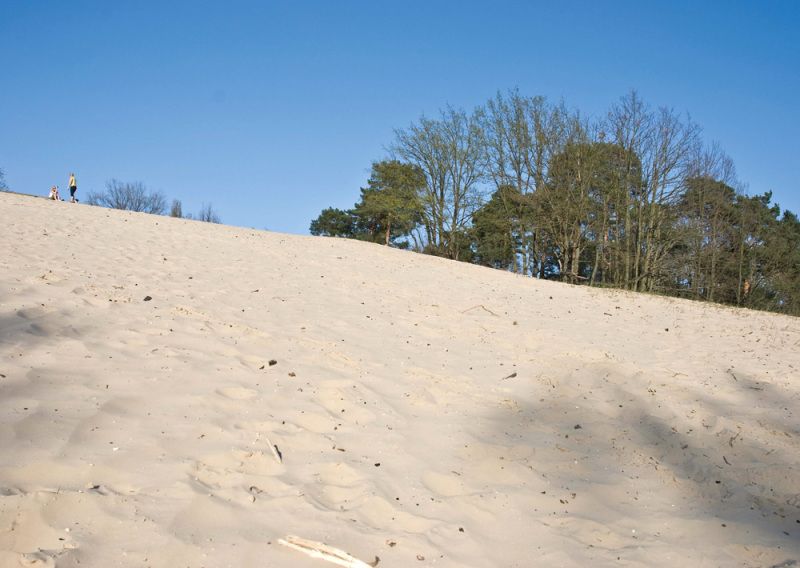 Binnendüne Baumberge (Bild: SenUVK)