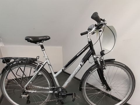 Schwarz-graues Damenfahrrad
