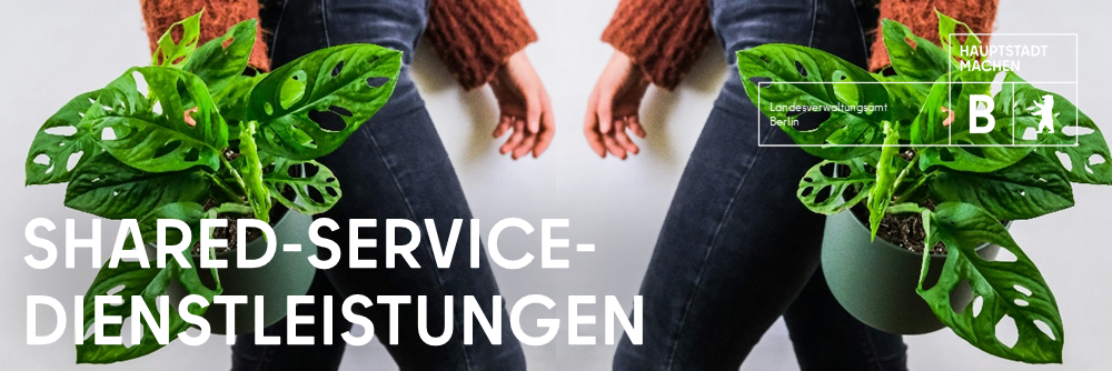 Titelbild Shared Service Dienstleistungen
